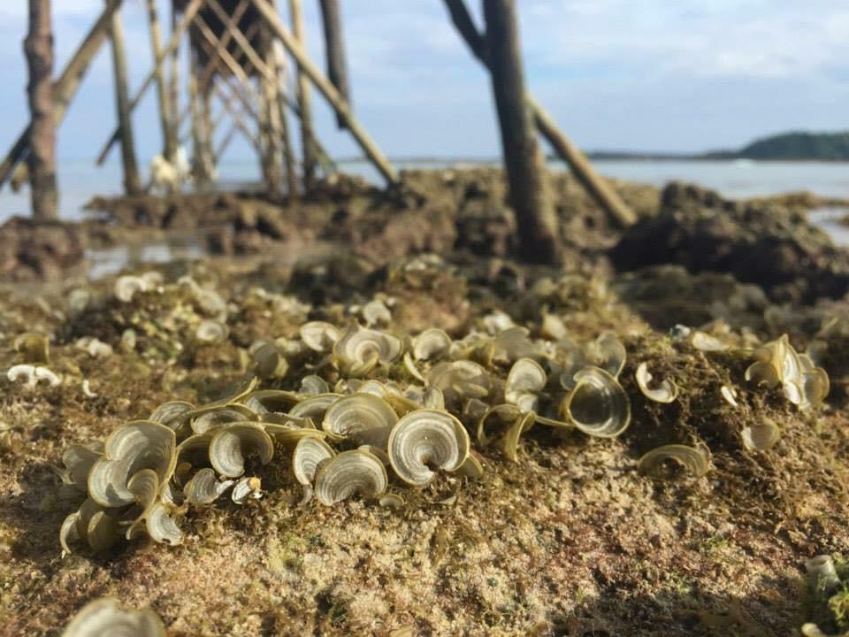 Dusita Koh Kood Resort Ko Kut Eksteriør bilde